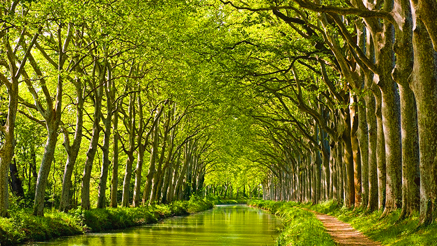 Canal-du-midi