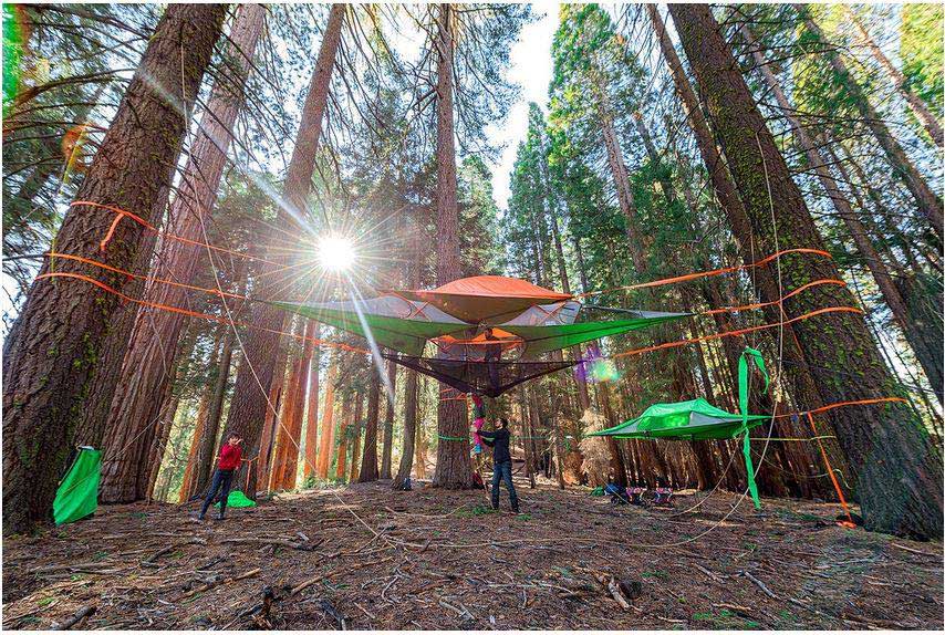 tentsile-tree-tent-slackline-forest