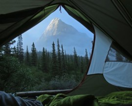 camping-savauge-regle