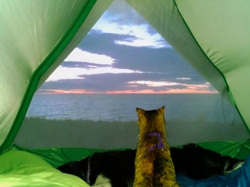 camping-chat-1