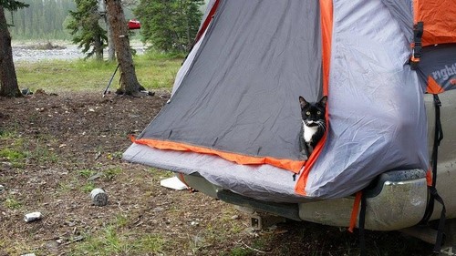 camping-chat-2