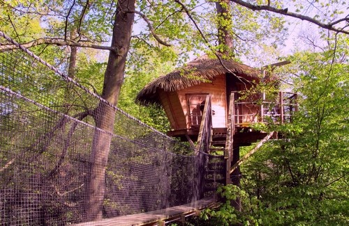 glamping en cabane dans un arbre