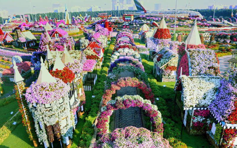 45 millions de fleurs au Dubai Miracle Garden