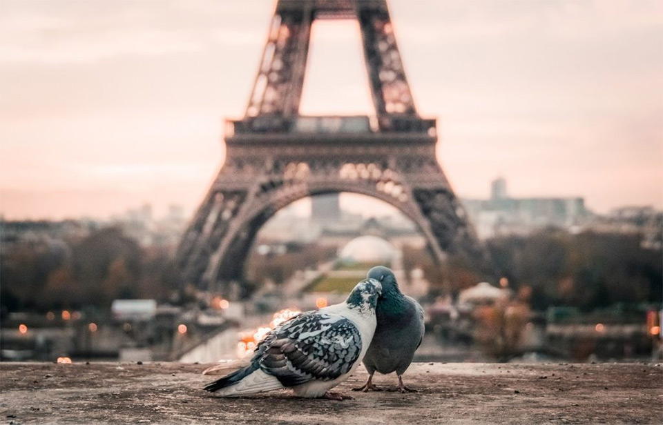 tour eiffel paris