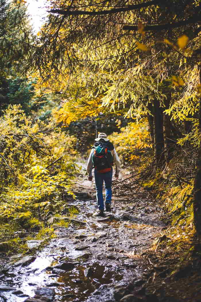 randonnée en forêt